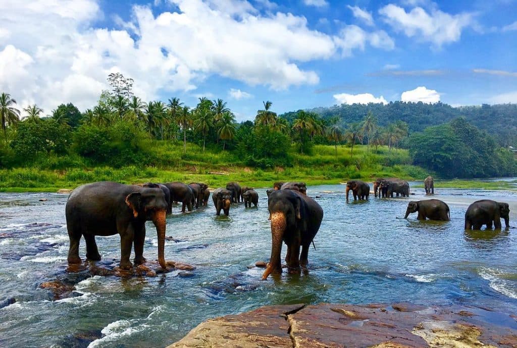 3-Day Culture, Heritage & Village Experience Tour from Negombo