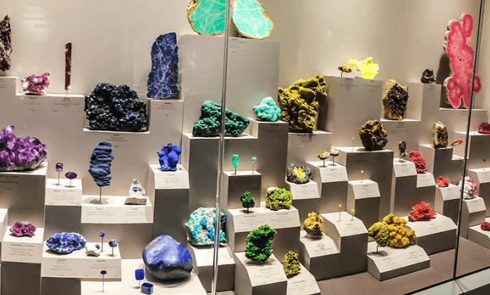 Day 6 – Kandy Sightseeing image 2