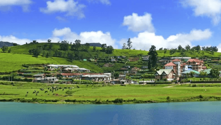Day 3 – Kandy ➜ Nuwara Eliya image 3