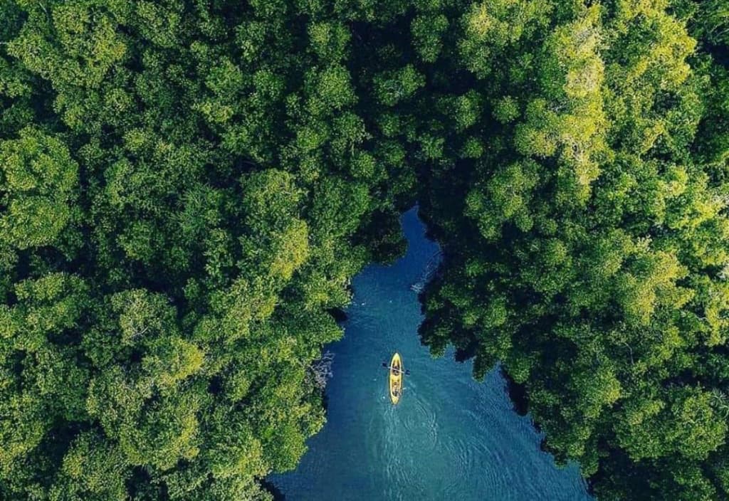 Day 12 – Mirissa ➜ Galle ➜ Bentota image 3