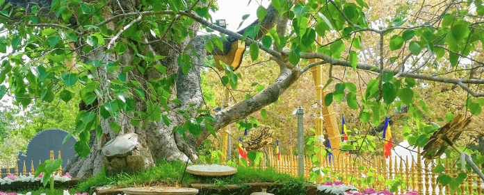 Day 9 – Trincomalee ➜ Anuradhapura image 2