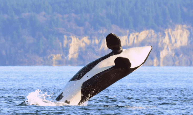 Day 12 – Mirissa ➜ Galle ➜ Bentota image 1