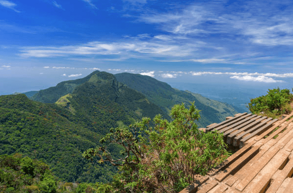 Day 8 – Nuwara Eliya ➜ Horton Plains ➜ Ella image 1