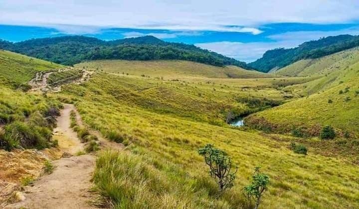 Day 10 – Nuwara Eliya ➜ Horton Plains ➜ Ella image 2