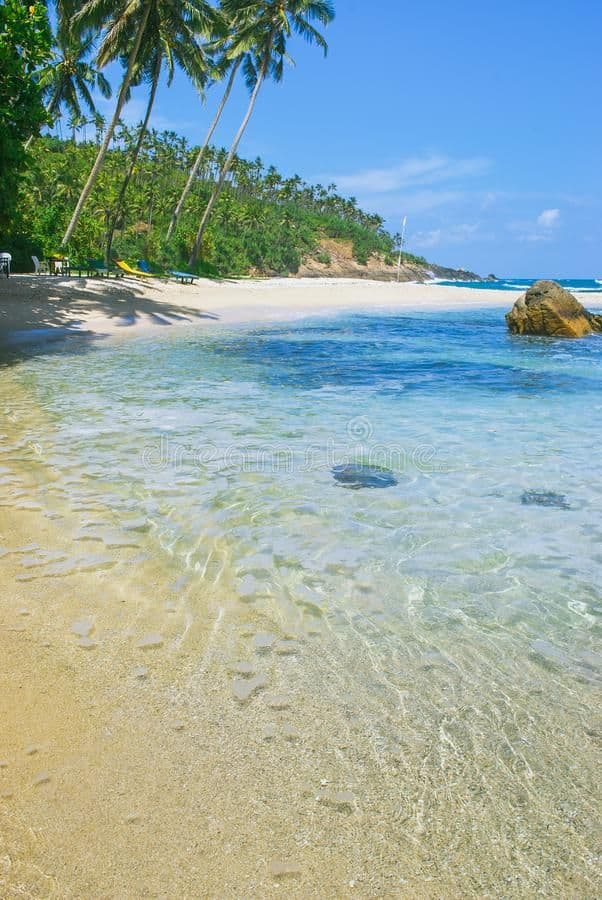 Day 15 – Tangalle ➜ Mirissa image 2