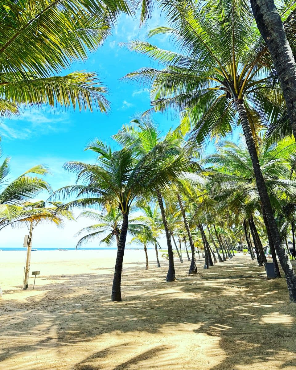 Day 1 – Arrival in Negombo image 1