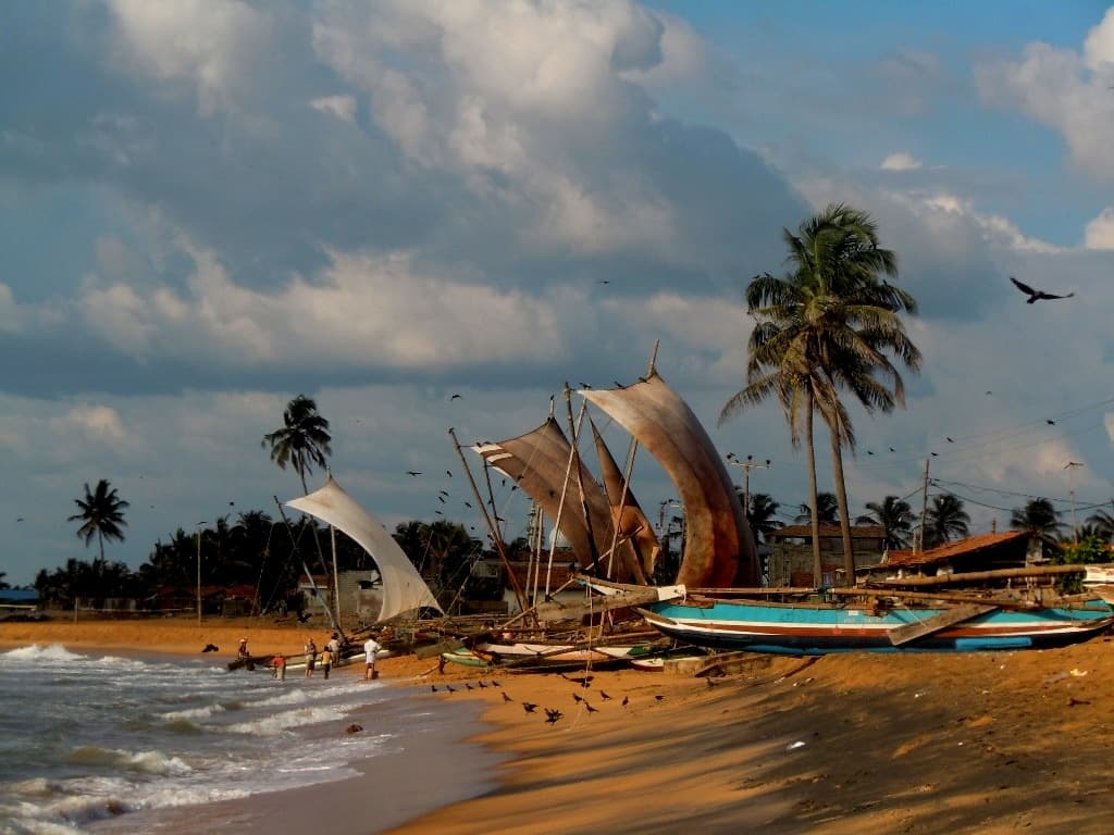 Day 1 – Arrival in Negombo image 2